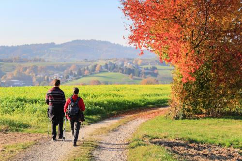 Footpath Closure - 6 months